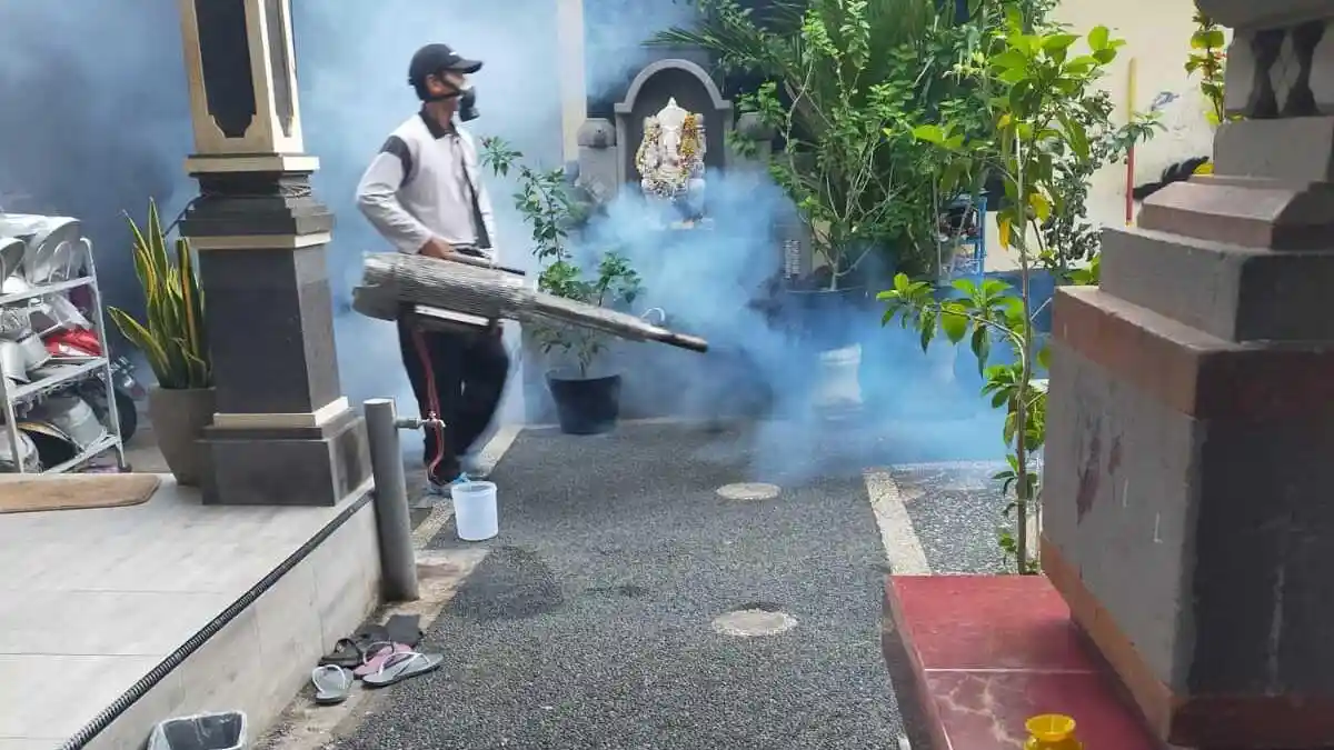 Antisipasi Demam Berdarah dan Cikungunya, Fogging Terus Digencarkan Pemkot Denpasar