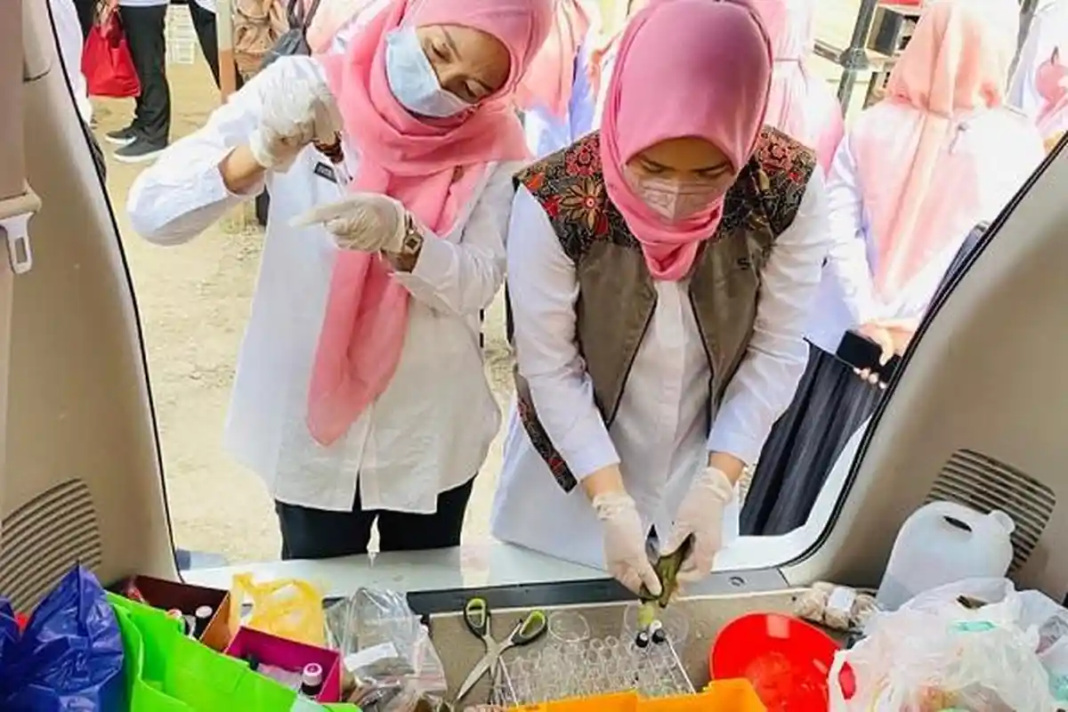 Begini Cara Memilih Daging dan Ikan Aman dari Bahan Berbahaya, Kehadiran Lalat Bisa Jadi Penanda