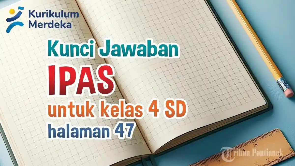 Apa Itu Rantai Makanan? Kunci Jawaban IPAS Kelas 4 SD Halaman 47 Kurikulum Merdeka