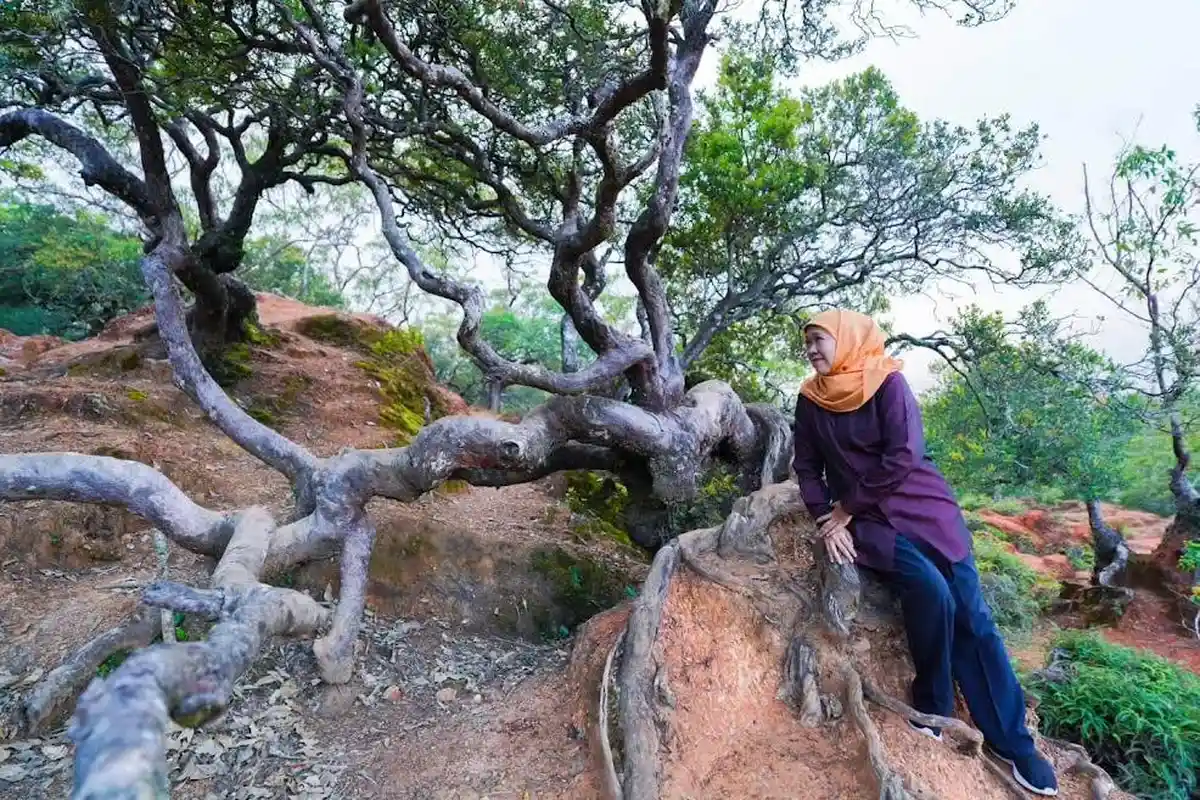 BKSDA NTT Jelaskan Perihal Taman Nasional Mutis Timau 