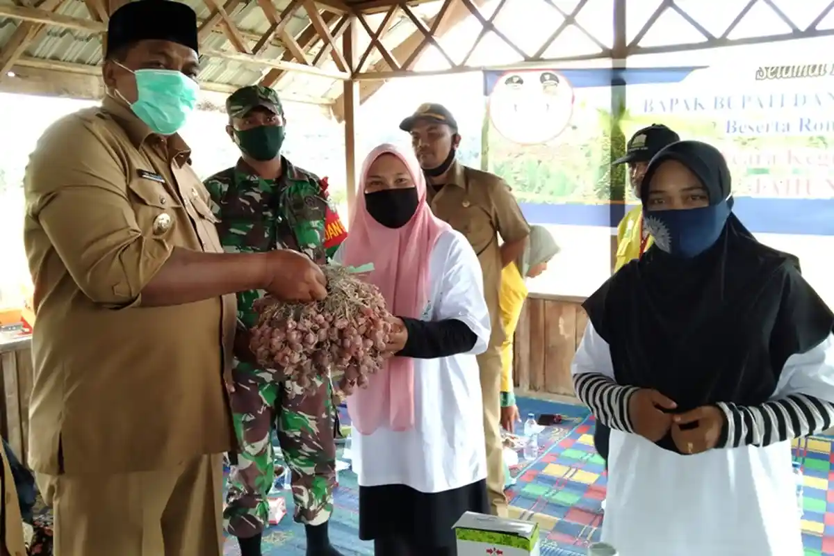 Kala Perempuan Muda Aceh Singkil Menjadi Petani, Semua Sudah Sarjana, Olah Sawah Capai 30 Hektare
