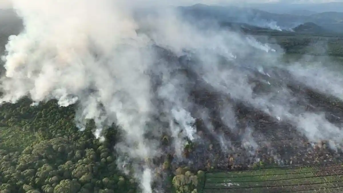 Polres Aceh Selatan Selidiki Kebakaran Hutan dan Lahan di Bakongan