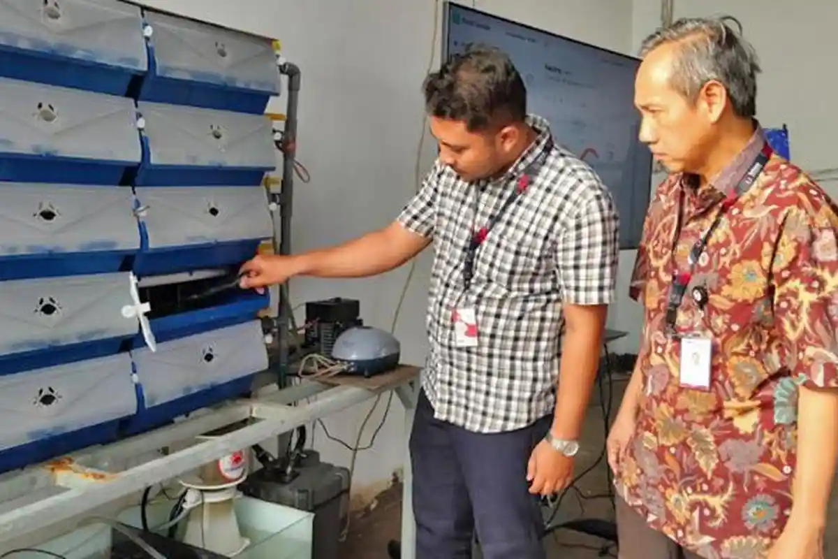 Telkom University Surabaya Kembangkan Budidaya Kepiting Berbasis IoT untuk Tingkatkan Ukuran