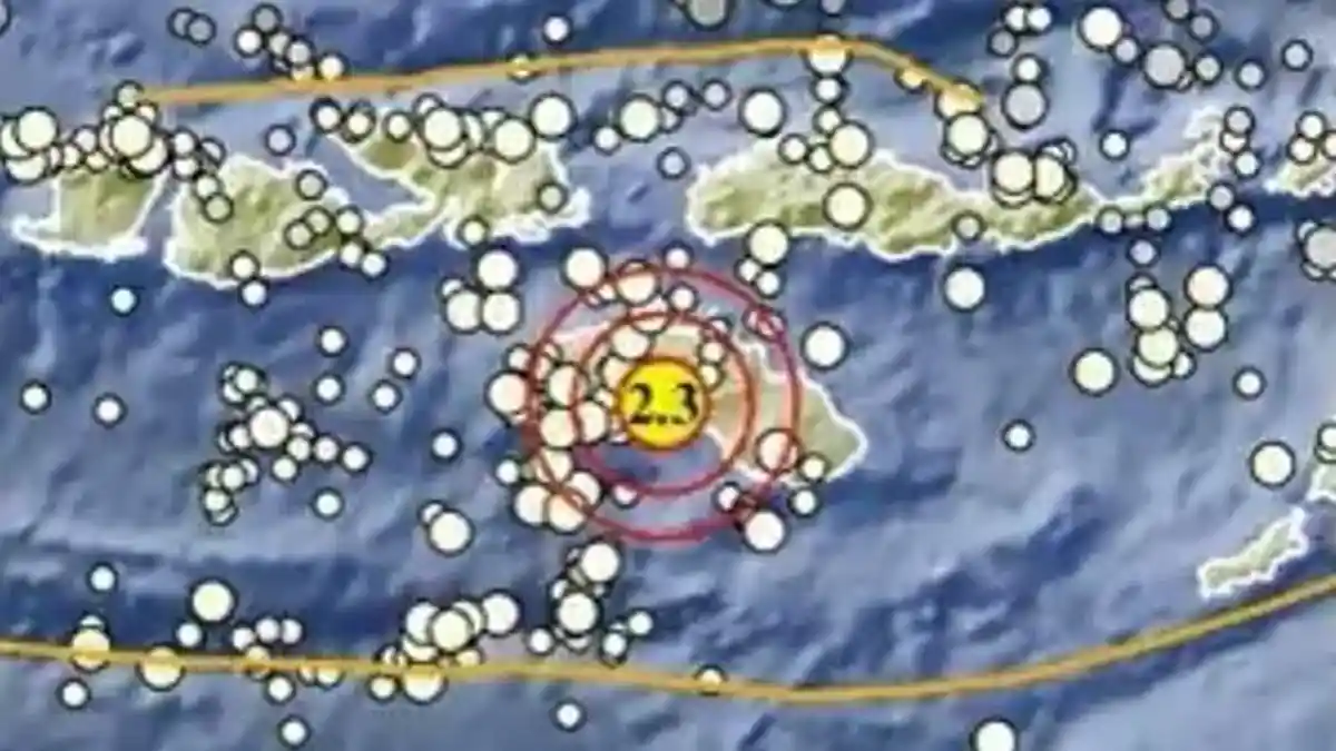 Gempa Terkini Sore Ini Jumat 4 Juli 2025, Info BMKG Lokasi dan Magnitudonya