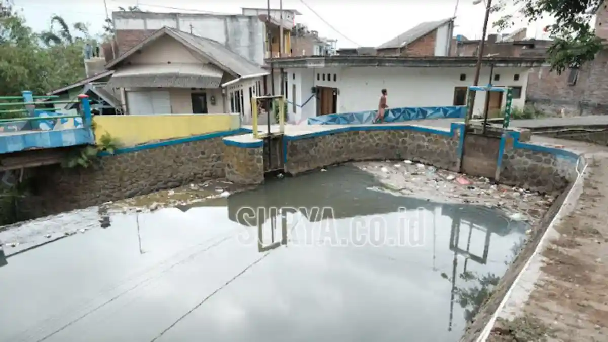 Penuh Kotoran Sapi, Pencemaran Kali Kebo di Kota Batu Masih Belum Teratasi