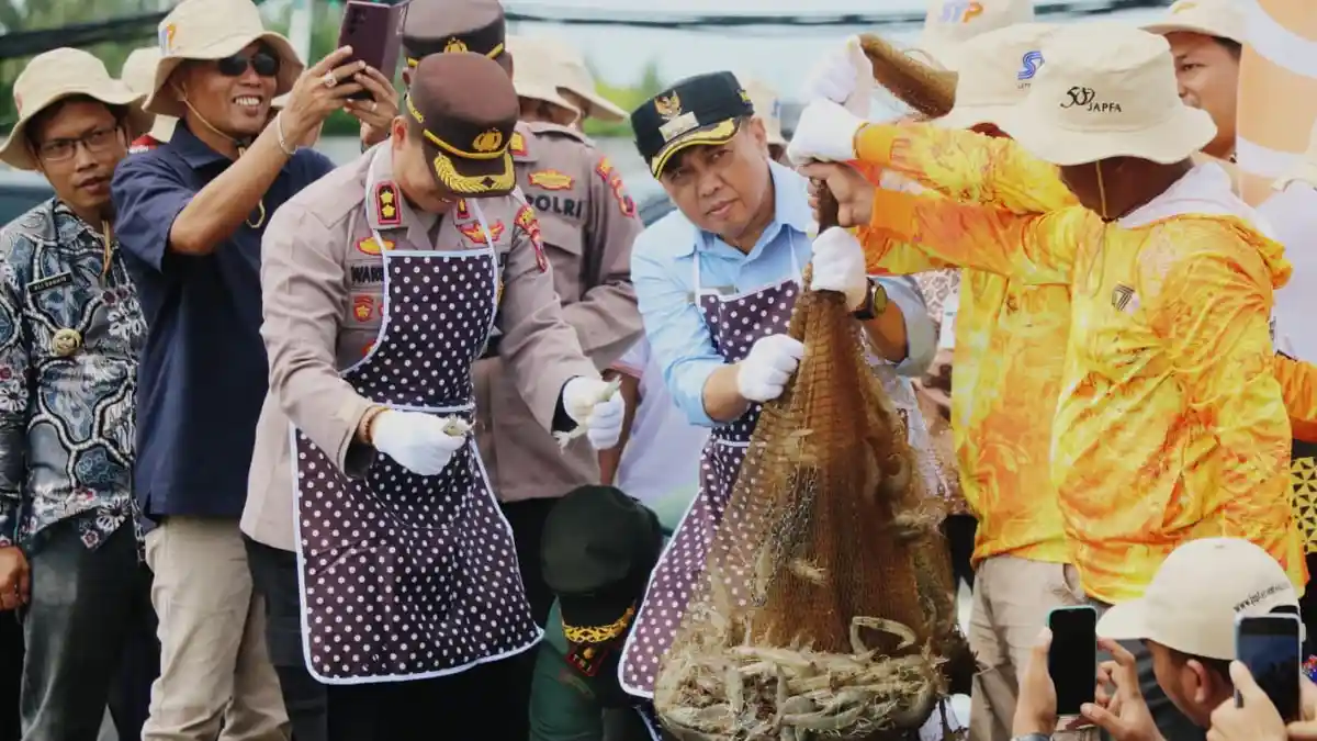 Panen Parsial Udang Vaname di Pantai Blebak, Pj. Bupati Jepara: Hasilnya Membanggakan