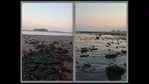 pantai-sukaresik-pangandaran-tercemar-batu-bara-18062026-1.jpg
