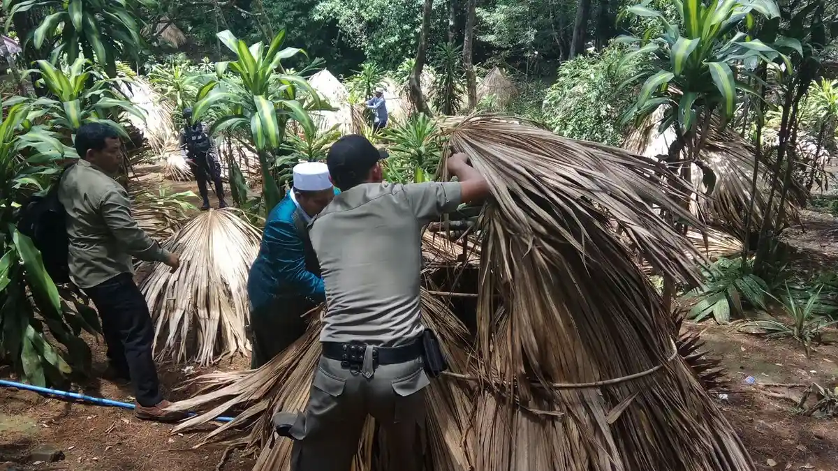 BREAKING NEWS - Ratusan Jambo Khop di Pinto Rime Dibongkar