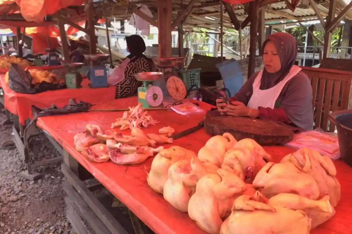 Harga Ayam Potong di Bengkulu Selatan Melonjak Naik, Capai Rp 45 Ribu per Kilogram