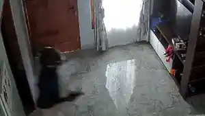 Rekaman-CCTV-aksi-maling-bersenjata-api-di-rumah-polisi-di-Cilodong.jpg