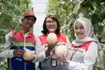 Pertamina-Gas-Operation-East-Java-Area-Pertagas-OEJA.jpg