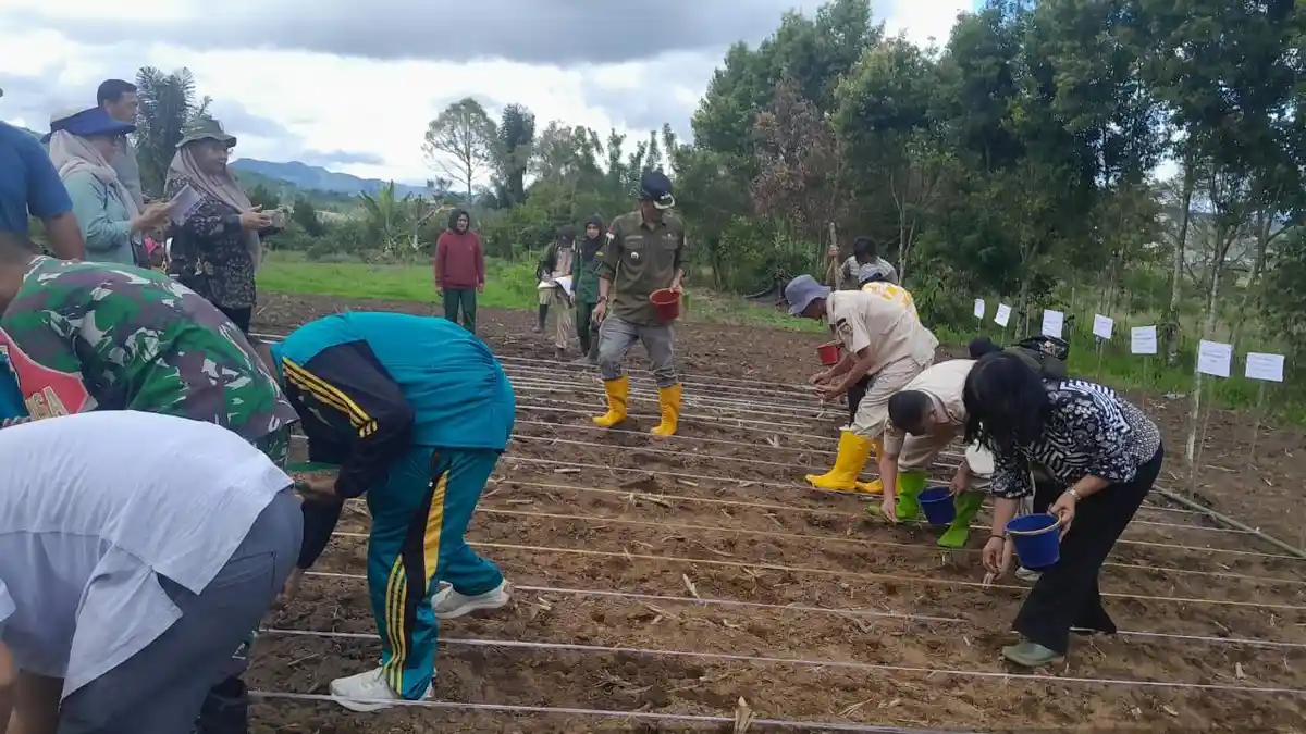 Gerakan Tanam Serentak Padi Gogo se-Kabupaten Pakpak Bharat
