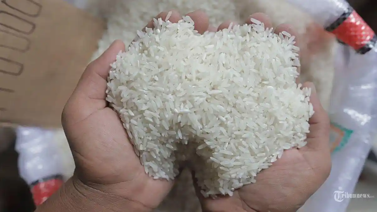 Waspada! Ada Beras Oplosan Beredar di Pasaran, Kementan Temukan 212 Merek