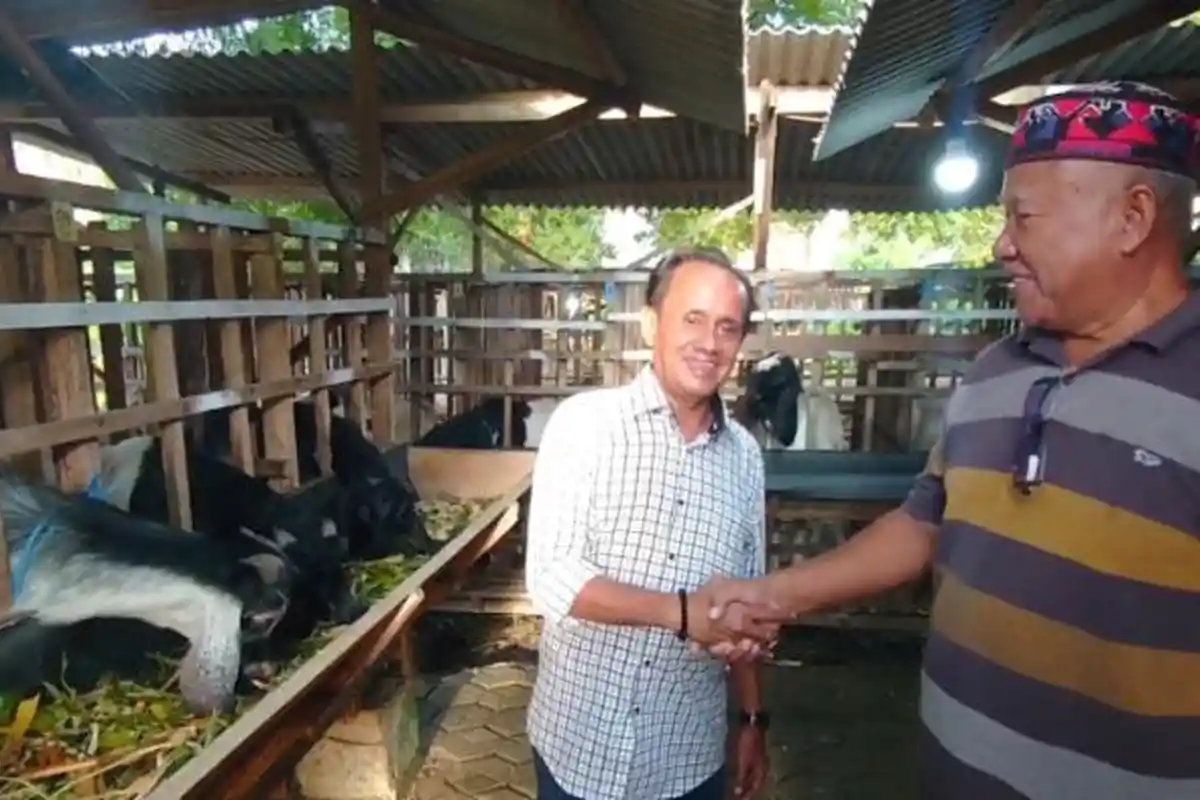 Sebelum Harga Mulai Mahal, Warga Gresik Sudah Membeli Hewan Kurban Sebulan Jelang Idul Adha