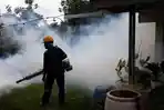 demam-berdarah-dbd-fogging-nyamuk.jpg