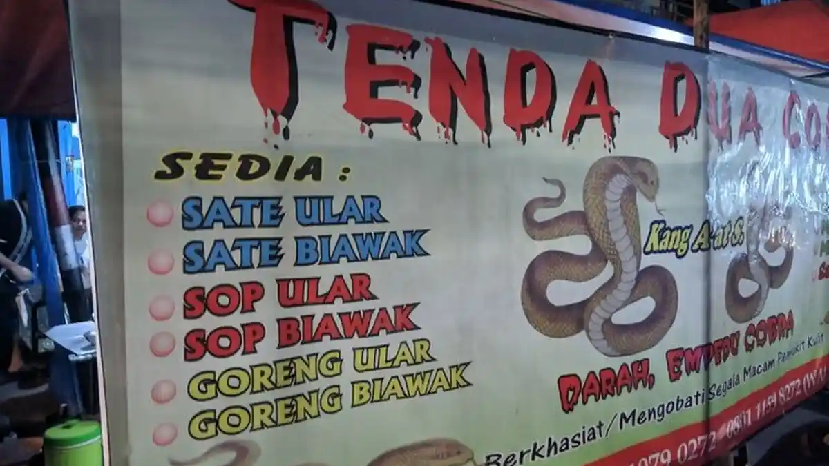 Pedagang Ini Malah Diuntungkan Dengan Banyaknya Kemunculan Ular Kobra 