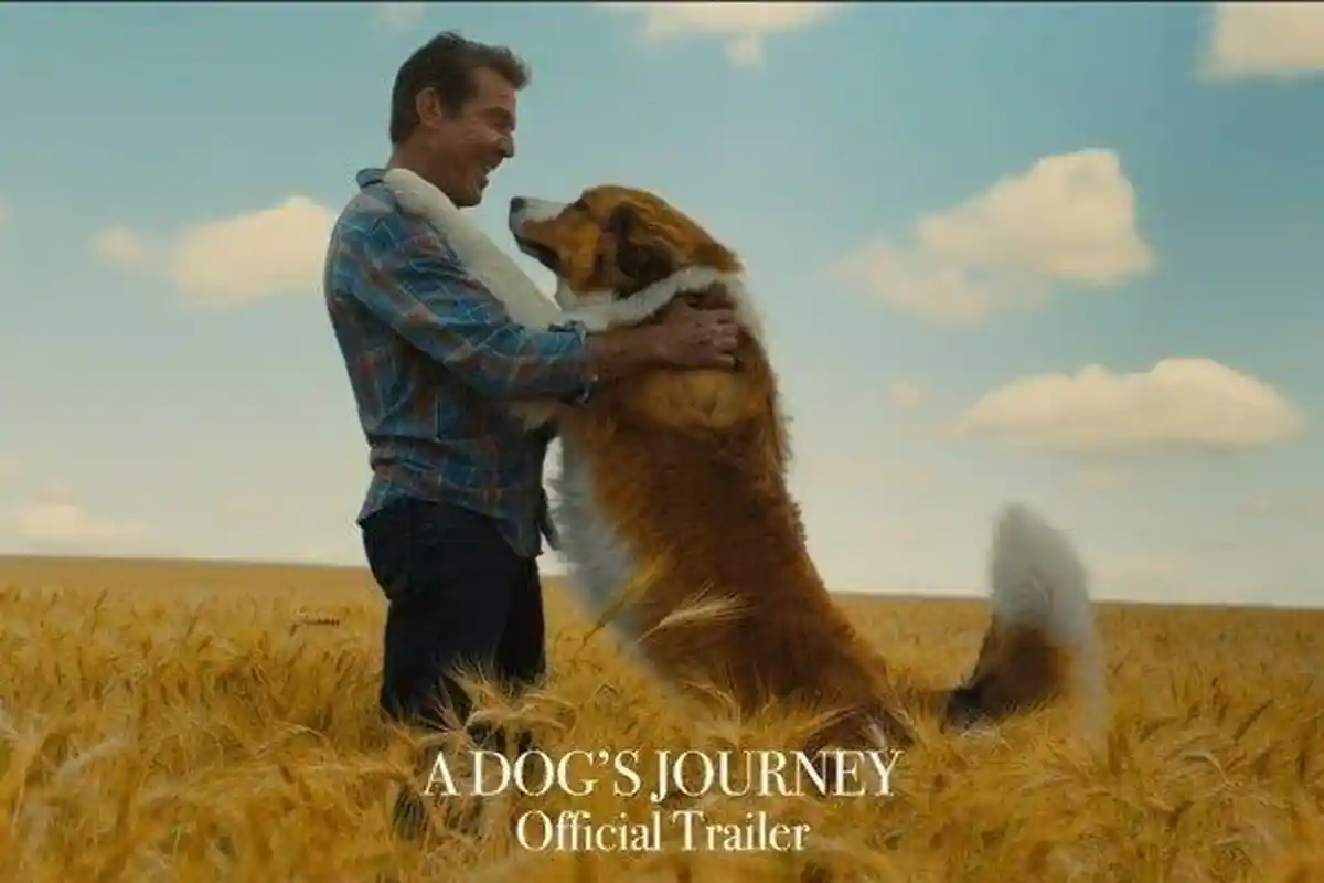 Sinopsis Film A Dog's Journey Tayang Mulai Hari Ini di Bioskop, Kisah Persahabatan dan Kesetiaan!