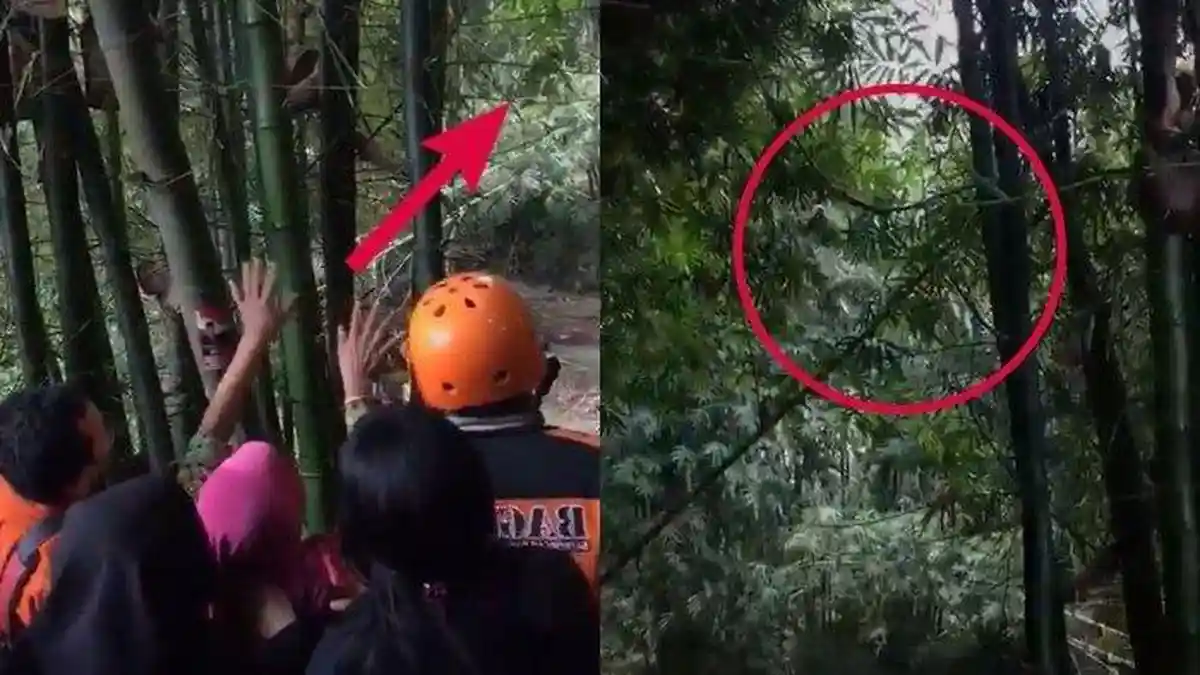 Ehsan Hilang Secara Misterius, Ibunya Lihat di Atas Pohon Bambu, Ditemukan Dalam Keadaan Telanjang