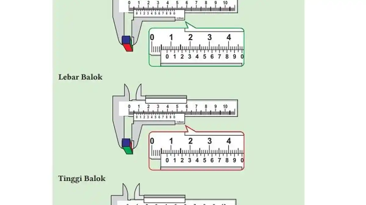 Kunci Jawaban IPA Kelas 10 SMA Halaman 203 Bab 8 Kurikulum Merdeka Latihan Soal Terpadu