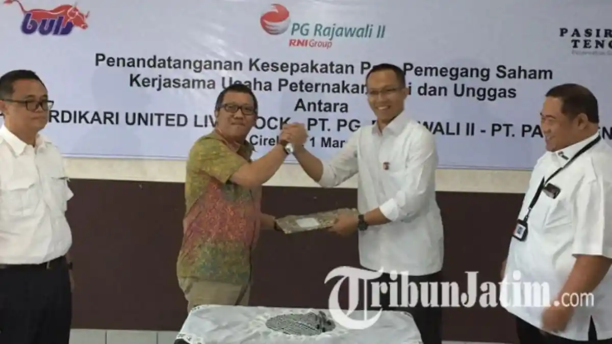 PT RNI dan Berdikari Akan Kembangkan Peternakan Unggas Modern Seperti Ini