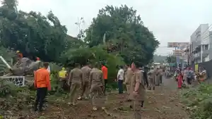 Evakuasi-pohon-tumbang-di-Depan-Gedung-Perpustakaan-DaerahF.jpg