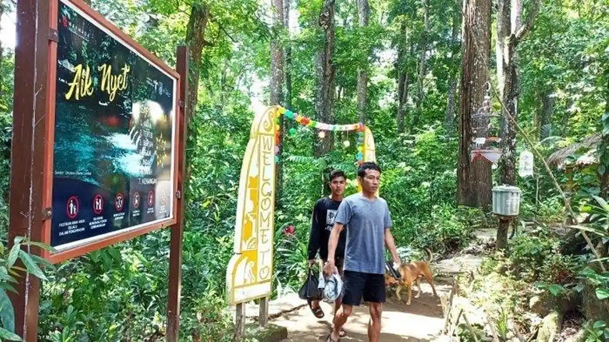 Intip Desa Sesaot NTB, Wisata Alam yang Punya Mata Air Melimpah