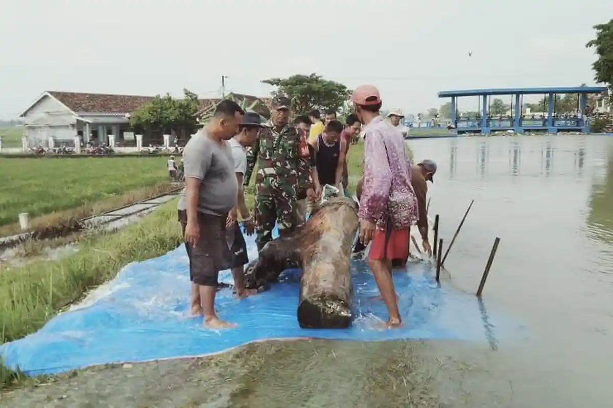 Wujud Kepedulian, TNI-Polri di Demak Bantu Warga Buat Tanggul Sungai Waduk Kedung Ombo