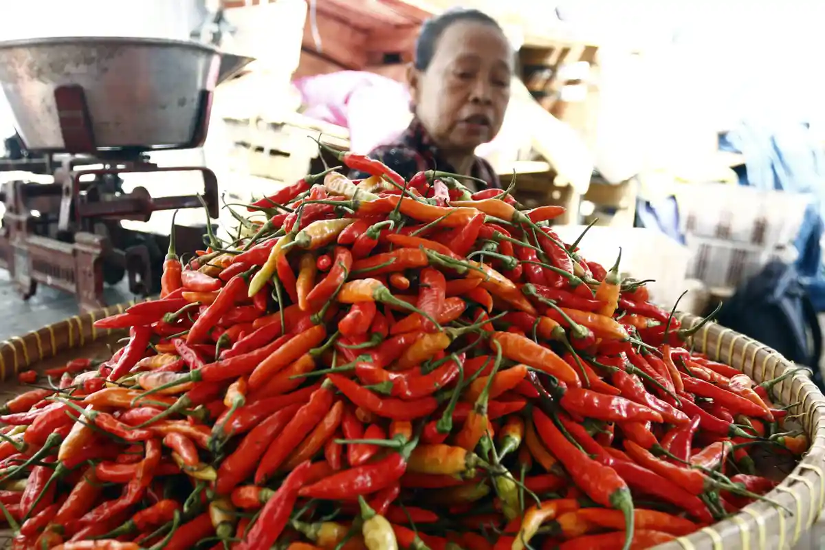 Harga Cabai Rawit Makin Menggila Tembus Rp120 Ribu per Kg, Pedagang Minta Menteri Tak Saling Ego