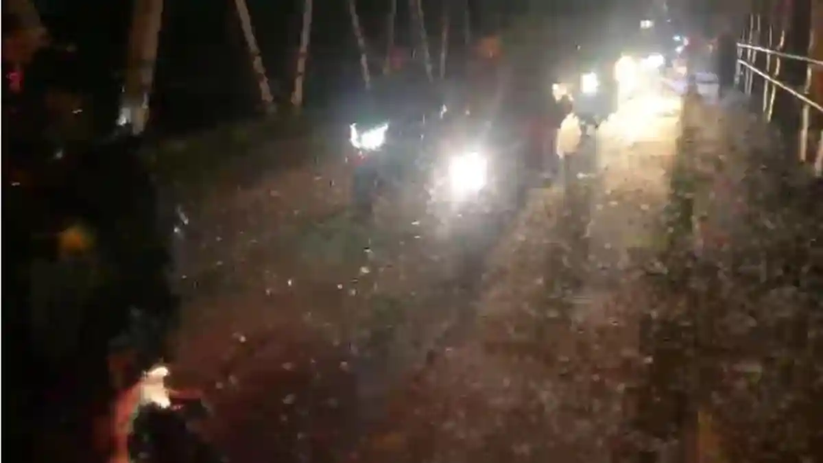 Pengendara Berjatuhan, Kawanan Serangga Serbu Pemotor saat Melintas di Jembatan Serayu Banyumas