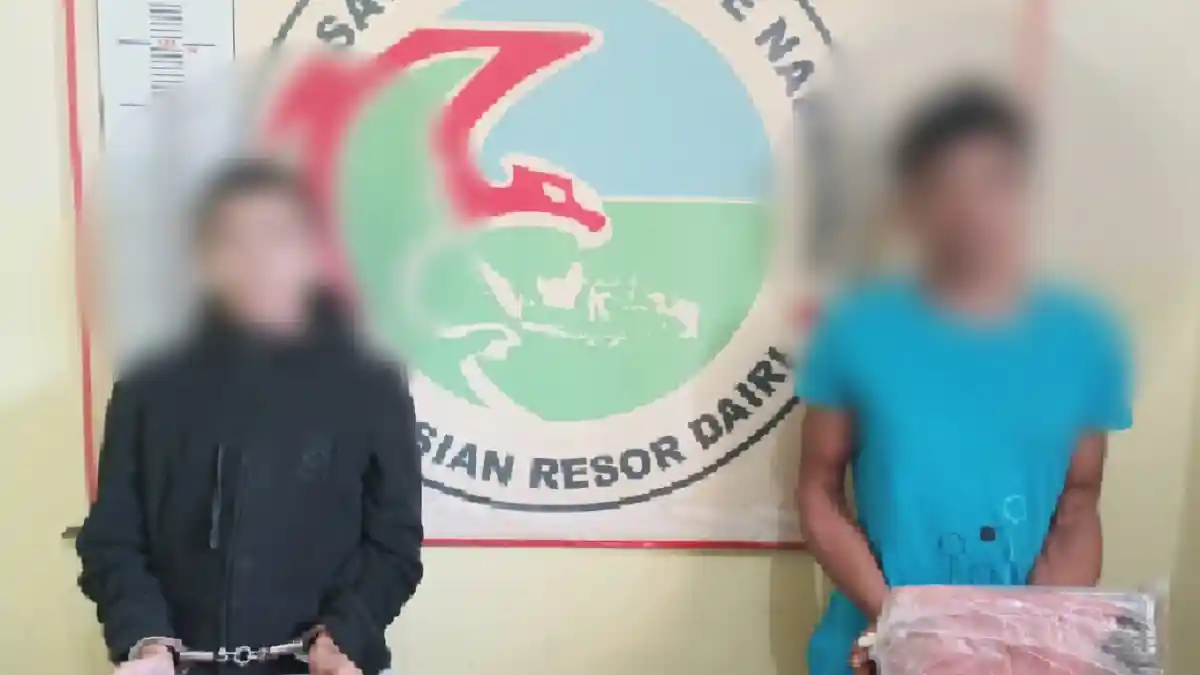 Edarkan Ganja, Dua Pria di Dairi 'Digulung' Sat Narkoba Polres Dairi