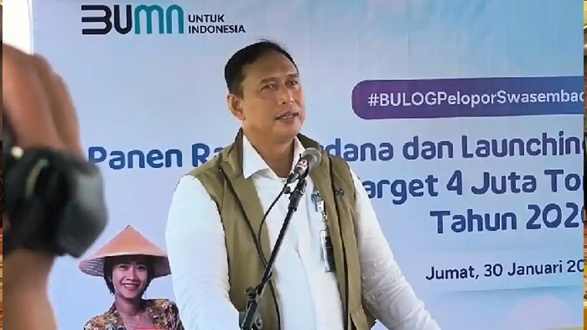 Pemerintah Bangun 7 Gudang Panen di NTB, Target Serap 400 Ribu Ton Gabah 2026