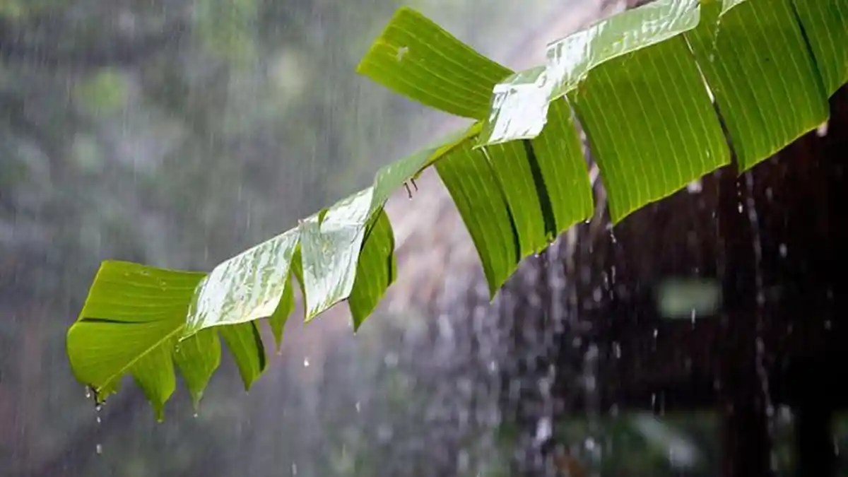 Peringatan Dini Cuaca Banten: Berpotensi Hujan Lebat dan Petir hingga Pukul 08.30 WIB