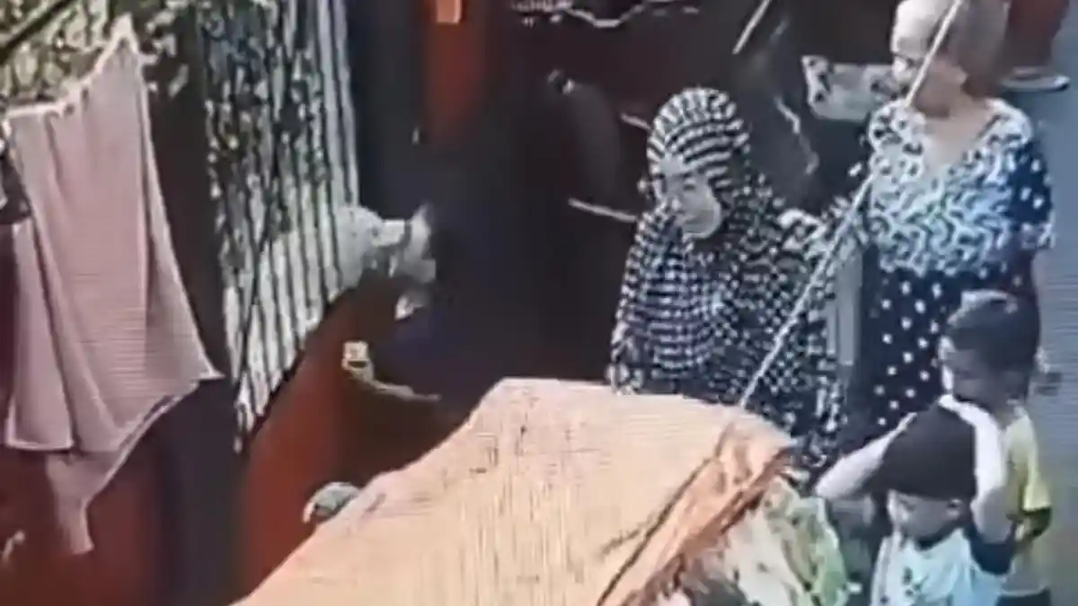 Tes Rabies, Anjing yang Gigit Wajah Bocah 7 Tahun di Cipulir Diobservasi Selama 14 Hari