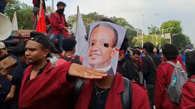 Tribun