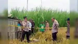 2-petani-di-Madiun-Jawa-Timur-tewas-tersengat-listrik.jpg