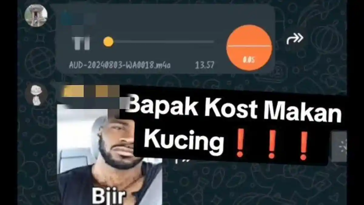 Viral Bapak Kost di Semarang Makan Kucing Oren: untuk Obat Diabetes