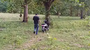 sambung-ayam.jpg