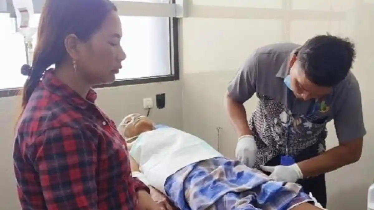 Diserang Monyet Liar, Dua Nenek di Besuki Situbondo Terluka