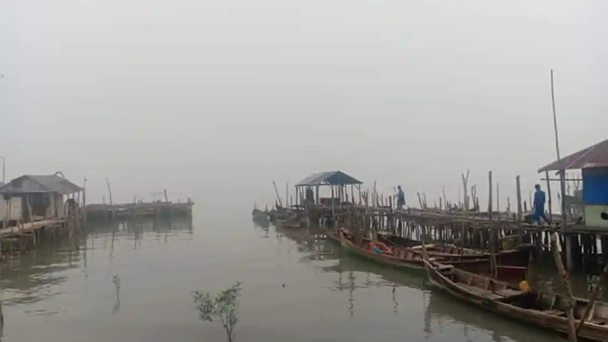 Dibalik Kisah Nama Desa Jaring Halus di Kabupaten Langkat