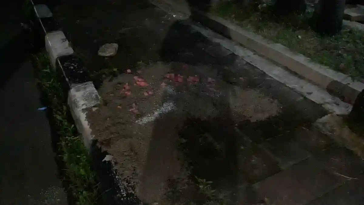 Sebelum Tewas Jadi Korban Begal di Pulo Gadung, Ini WA Terakhir Sopir Taksi Online dengan Sang Istri