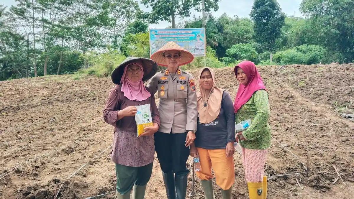 Dari Balai Bolon ke Ladang Jagung, Cara Kapolres Pematangsiantar Mendukung Ketahanan Pangan