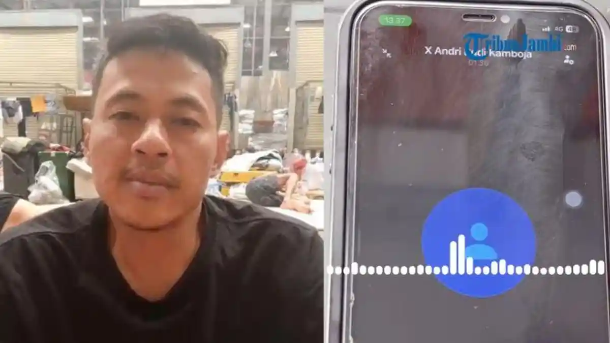 Kesaksian Warga Jambi tak Bisa Pulang setelah Jadi Korban Job Scam di Kamboja