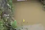 aliran-sungai-di-pakupatan-serang.jpg