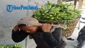 Muslianto-petani-pisang-asal-Desa-Sedahan-Kayong-Utara.jpg