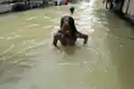 Banjir Landa Medan
