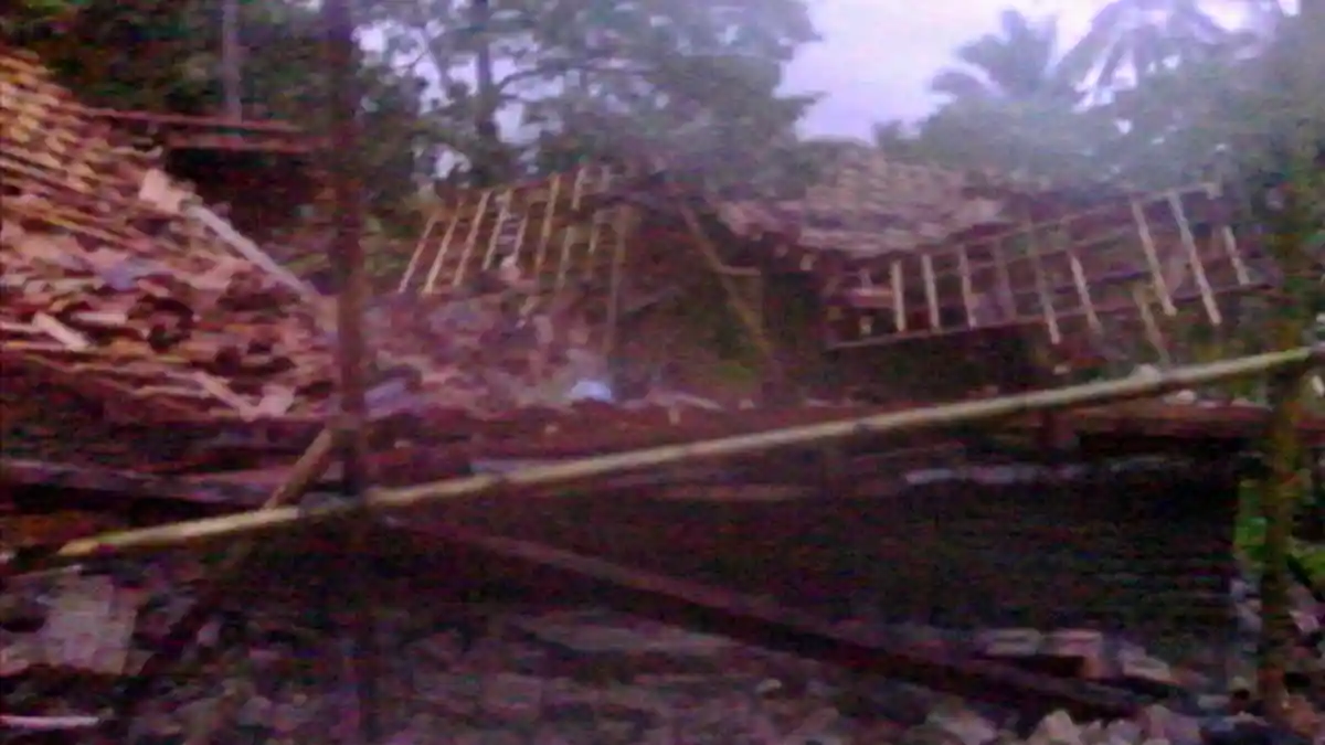 Satu Rumah di Palas Tertimpa Pohon Tumbang, Atap Bagian Dapur Rusak Parah