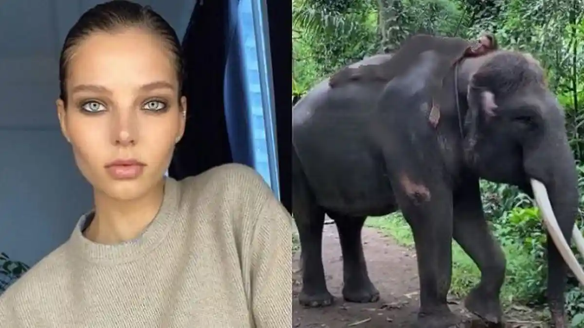 Influencer Instagram Moskow Buah Ulah, Netizen Geram, Berpose Telanjang di Atas Gajah Sumatera