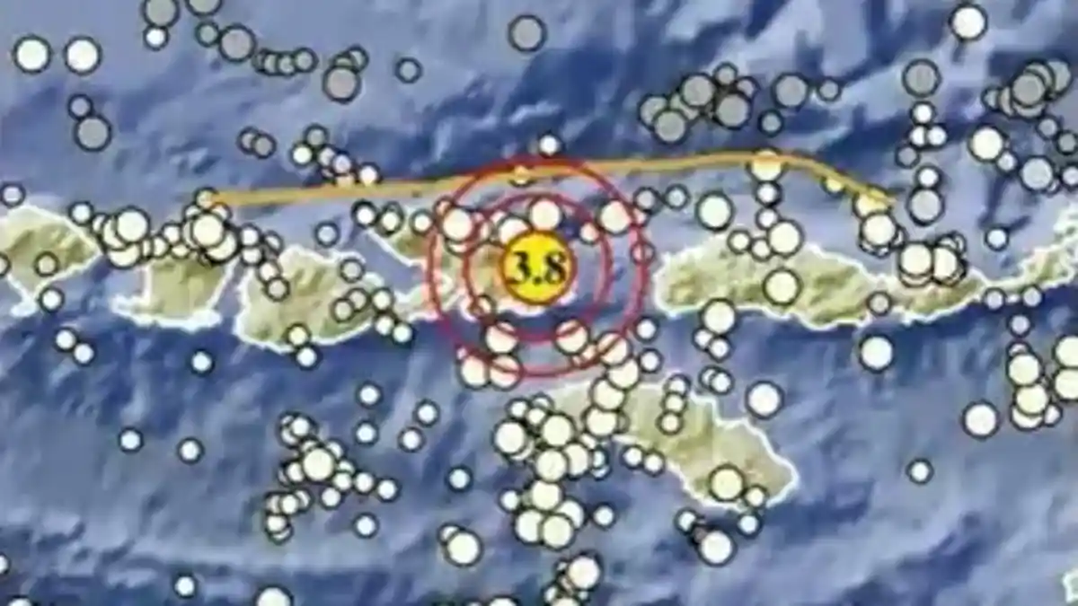 Gempa Terkini di NTB Malam Ini Kamis 19 Maret 2026, Berikut Info BMKG