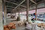 Penjual Memilih Berjualan di Depan, Bangunan Los Pasar Unggas Amuntai Banyak yang Kosong
