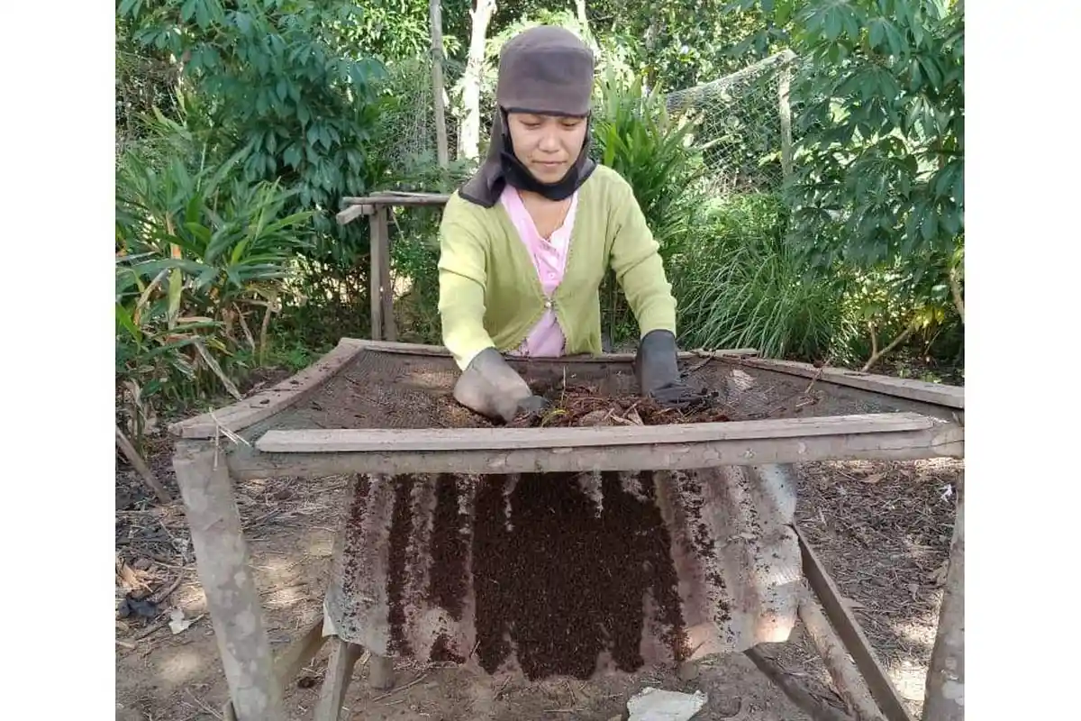 NATAL Sederhana Yunita Saat Pandemi, Suami Di-PHK Terpaksa Ikut Cari Nafkah Olah Kotoran Sapi